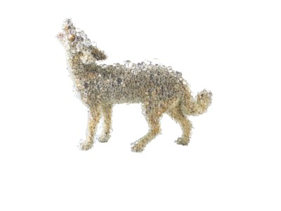Kohei Nawa, PixCell-Coyote#3