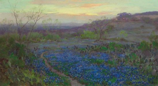 Blue Bonnets at Twilight