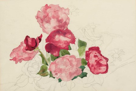 Red Roses