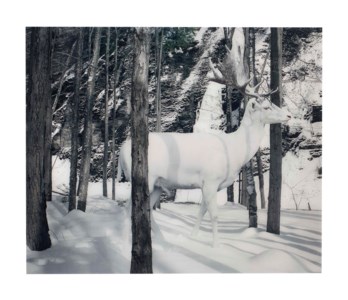 Untitled #140, from Until the Kingdom Comes, 2007