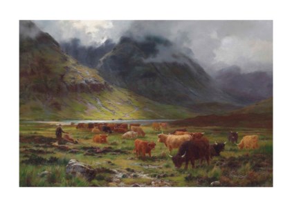 Highland cattle in a glen