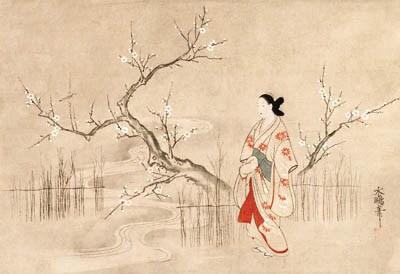 BEAUTY AND FLOWERING PLUM