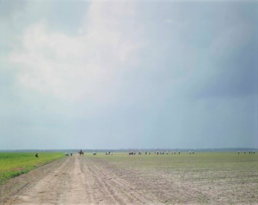 The Farm, Angola State Prison, Angola, LA, 2002