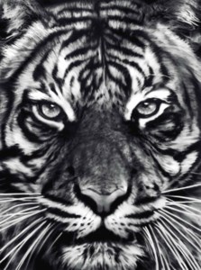 Robert Longo, Untitled (Leo)