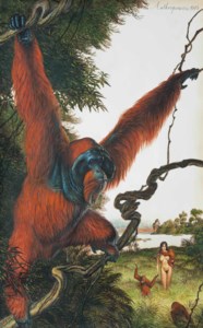 Walton Ford, Anthroponosis - 1975