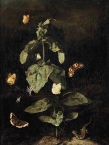 A forest floor still life with a Grand Surprise (Nymphalis antiopa), a Large Tortoiseshell (Nymphalis polychloros), a Small White (Pieris rapae), a Peacock (Inachis io), and other butterflies and a lizard