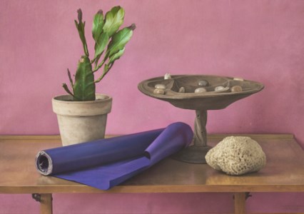 Cactus and Sponges