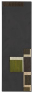 Fisicromía 56