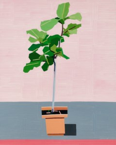 The Conformist (Tall Plant)