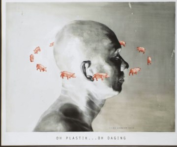 Oh plastik...oh daging (Oh plastic...oh meat)