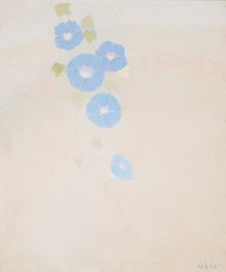 Untitled (Morning Glory)