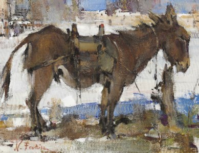 Burro Tethered