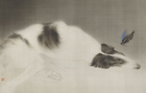 Dreaming of Butterfly