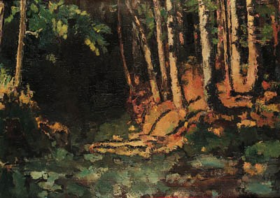 Waldpartie bei Morzg