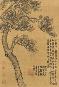 Pine