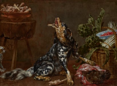 A hunting dog enjoying the spoils of the hunt