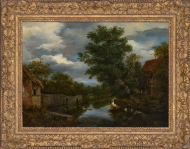 A pollarded willow overhanging a river