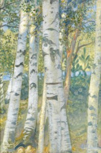 Björkstammer (Birch trees)