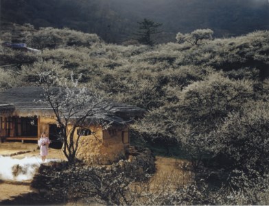 Location #9 from 'I'll Remember You', 2006