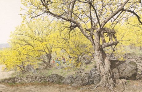 SPRING PICNIC