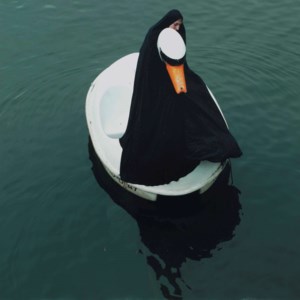 The Swanrider no. 3