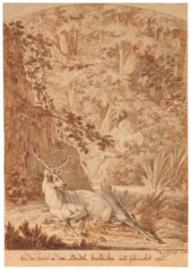 A stag in a forest being shot