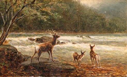 Deer Crossing the Stream