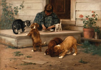 Feeding the Puppies and Kittens