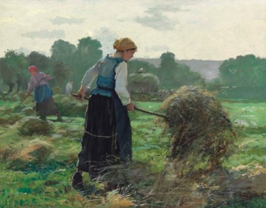 Haying Time