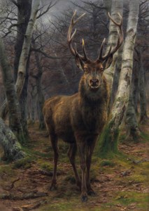 Le Roi de la forêt