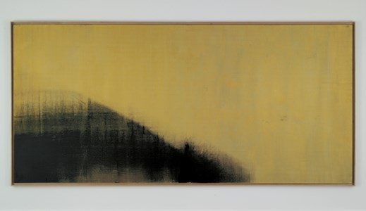 Andy Warhol, Shadow Painting