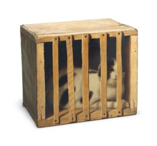 Cat in a Crate