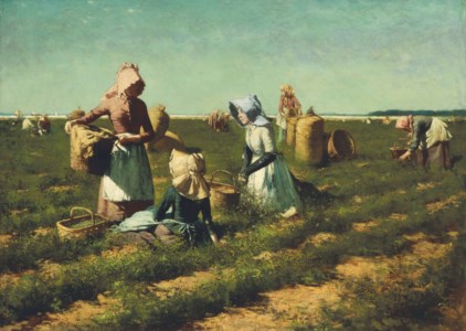 The Peapickers of Long Island