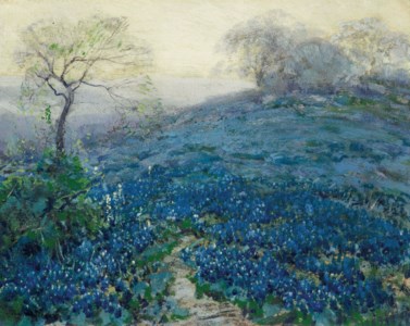 Blue Bonnets