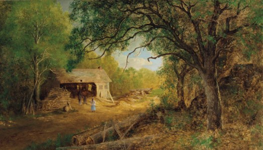 A Saw Mill in the Woods