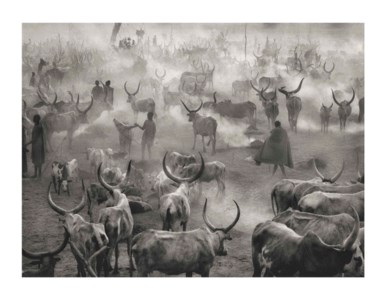 Dinka Cattle Camp of Amak, Southern Sudan, 2006