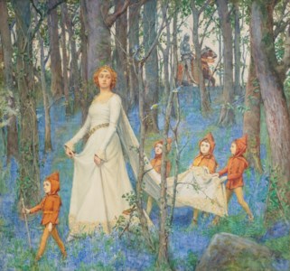 The Fairy Woods