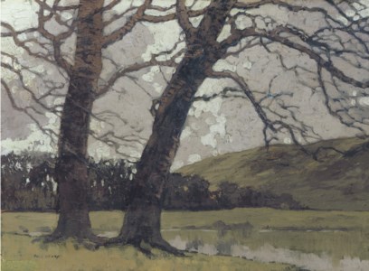 Winter Trees