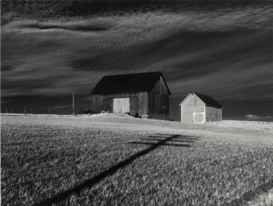 Two Barns, Dansville, New York, 1955