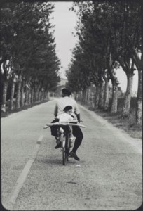 Provence, France, 1955