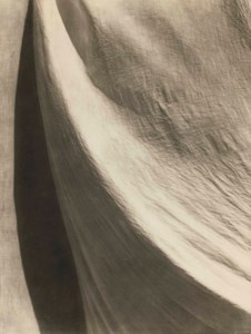 Untitled (Texture and Shadow), 1924-1926