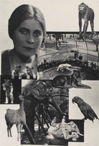Zoo ('Pro Eto'), 1923