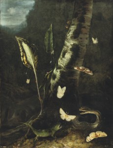 A forest floor with a lizard, a snake and butterflies