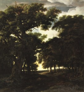 A wooded landscape with a herd of pigs on a track