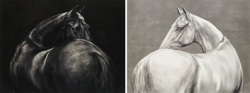 Black Horse, White Horse