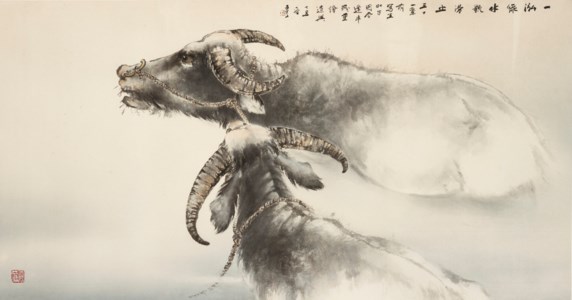 Two Buffaloes