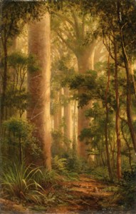In Kauri Park, Kaipara, Northern Wairoa