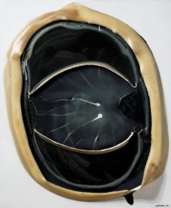 A CIRCLE – II–A