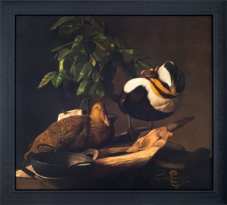 Duck Birds