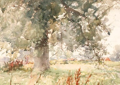 Silver Trees at Pulborough